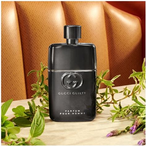 gucci by gucci edp fragrantica|gucci guilly edp.